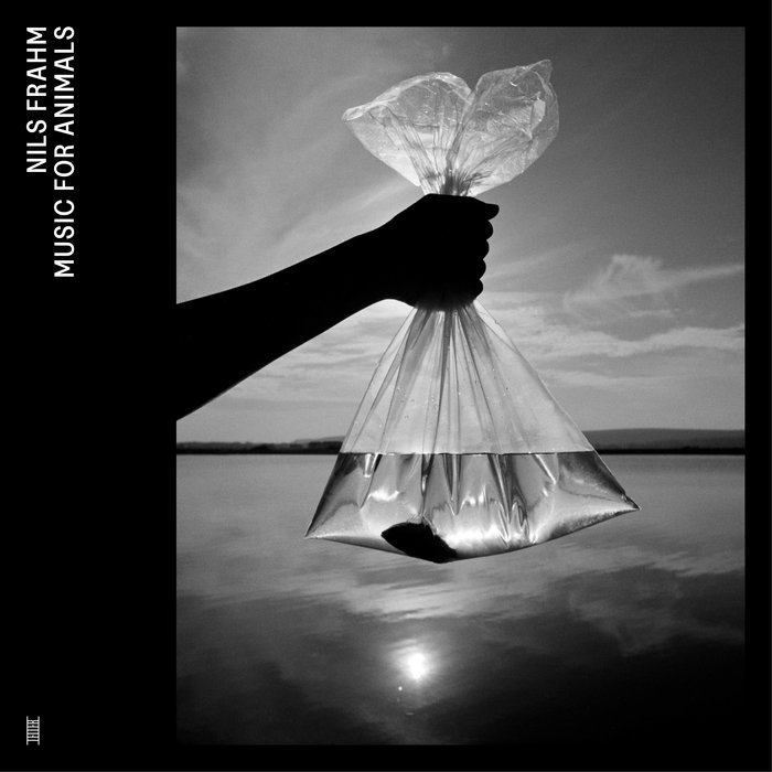 Cover image for Nils Frahm's album Music For Animals, showing a lake in the background and an arm in silhouette holding a plastic bag with water and a small fish; the water in the bag lines up with the horizon in the distance; the sun is reflected in the surface of the lake but the arm blocks our view of it